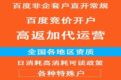 SEM托管服务实战案例：打造高效广告投放策略