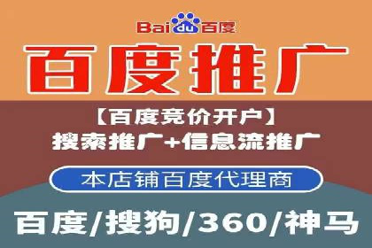 SEM服务优势案例分享